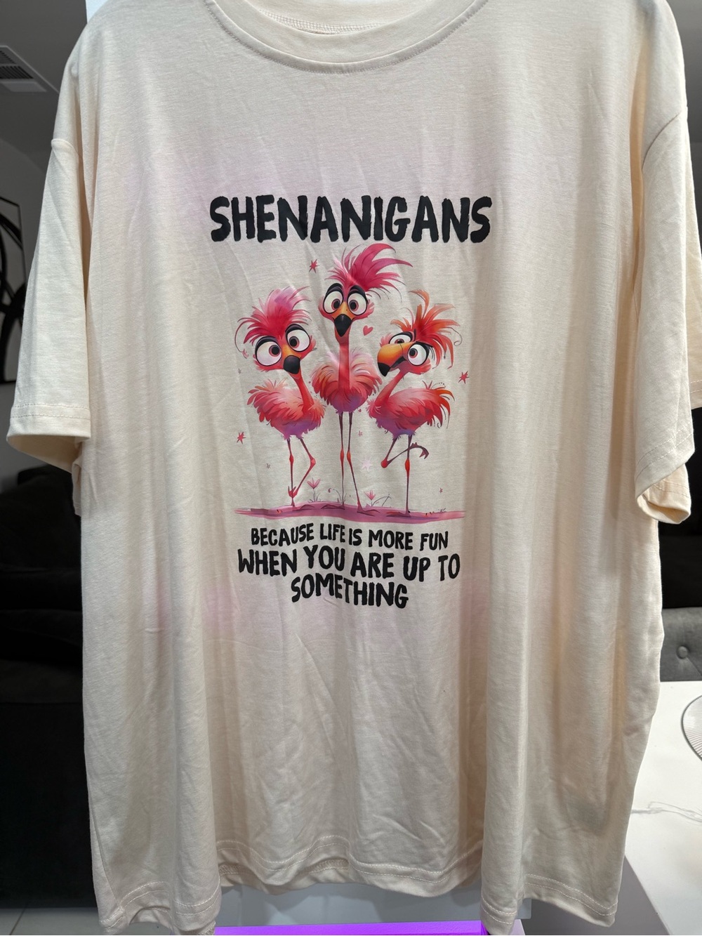 Shenanigans Flamingo Graphic Tee - Pink on Cream size 5x -p2p30